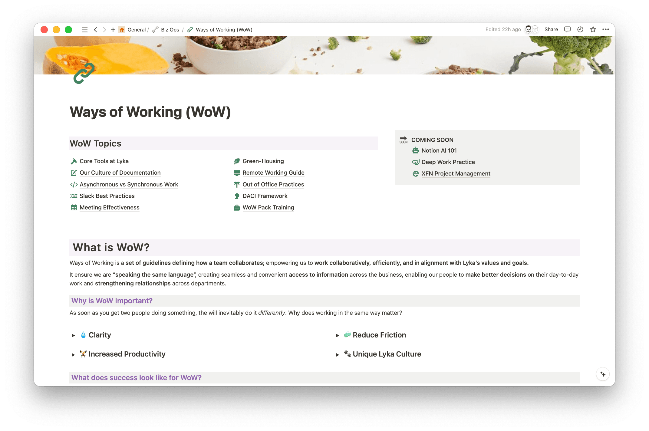全従業員のツールをNotionへと切り替えるにあたって、Lauren氏は働き方ガイドラインをLykaで初めて作成し、チームがどのようにNotionを使用すべきか、そして全体としてどのように協力すべきかを説明しました。こうすることで、全員の理解を一致させ、情報にシームレスにアクセスできるようになりました。また、日常業務における効率の向上や、部署間の関係強化にもつながりました。